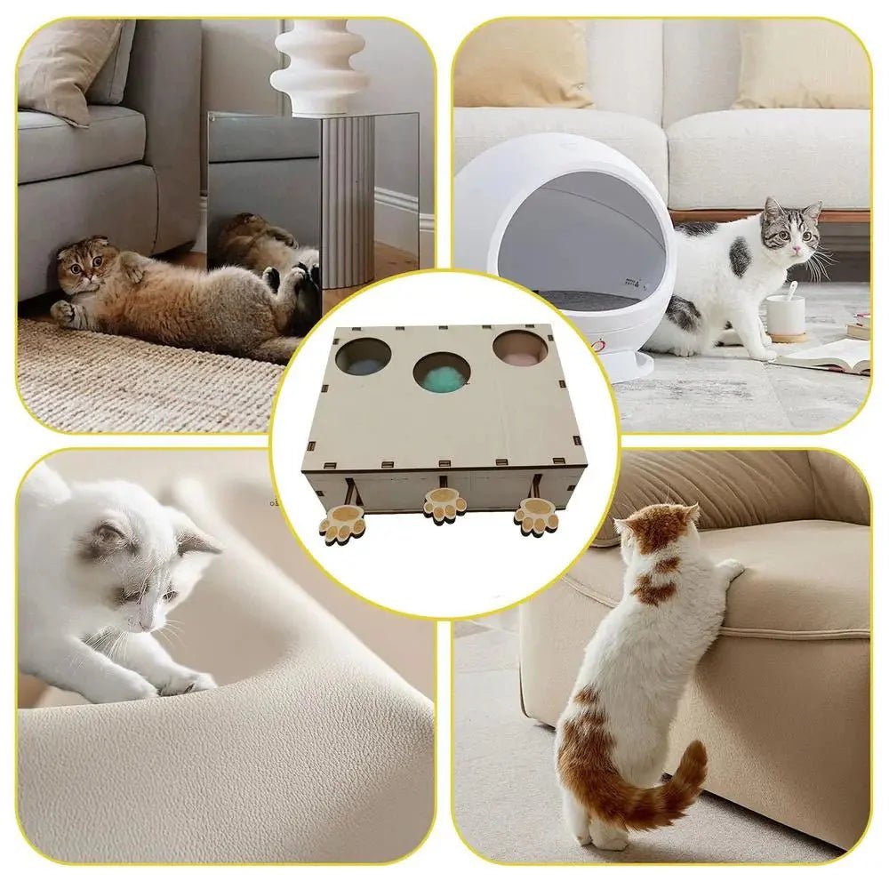Jouet Interactif Chat - CatWhack™ - Chatadorable