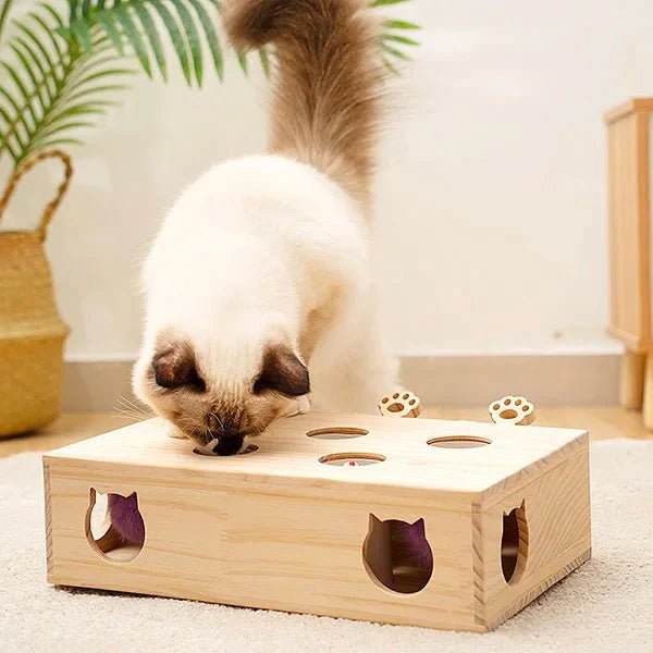 Jouet Interactif Chat - WoodMole™ - Chatadorable