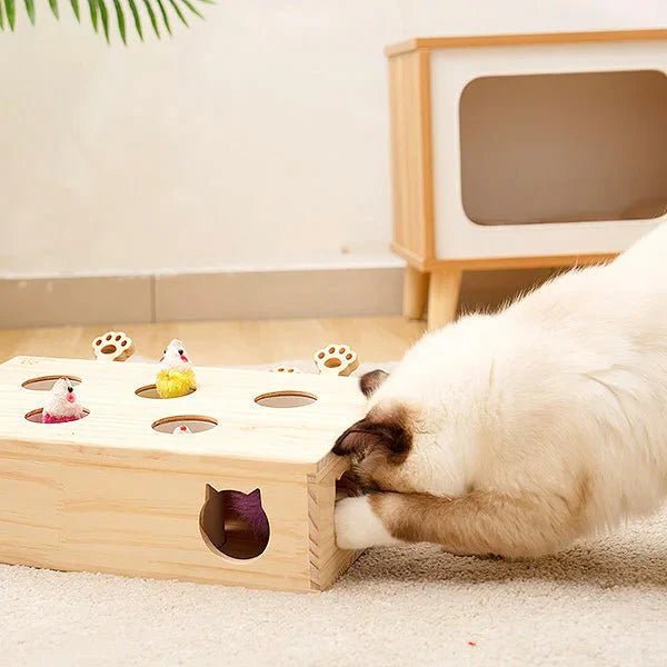 Jouet Interactif Chat - WoodMole™ - Chatadorable