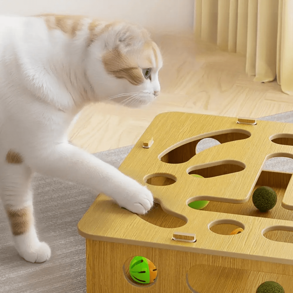 Jouet pour chat - CatPuzzleToy™ - Chatadorable