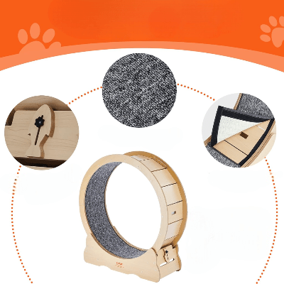 Roue Chat - KittyTread™ - Beige - Chatadorable