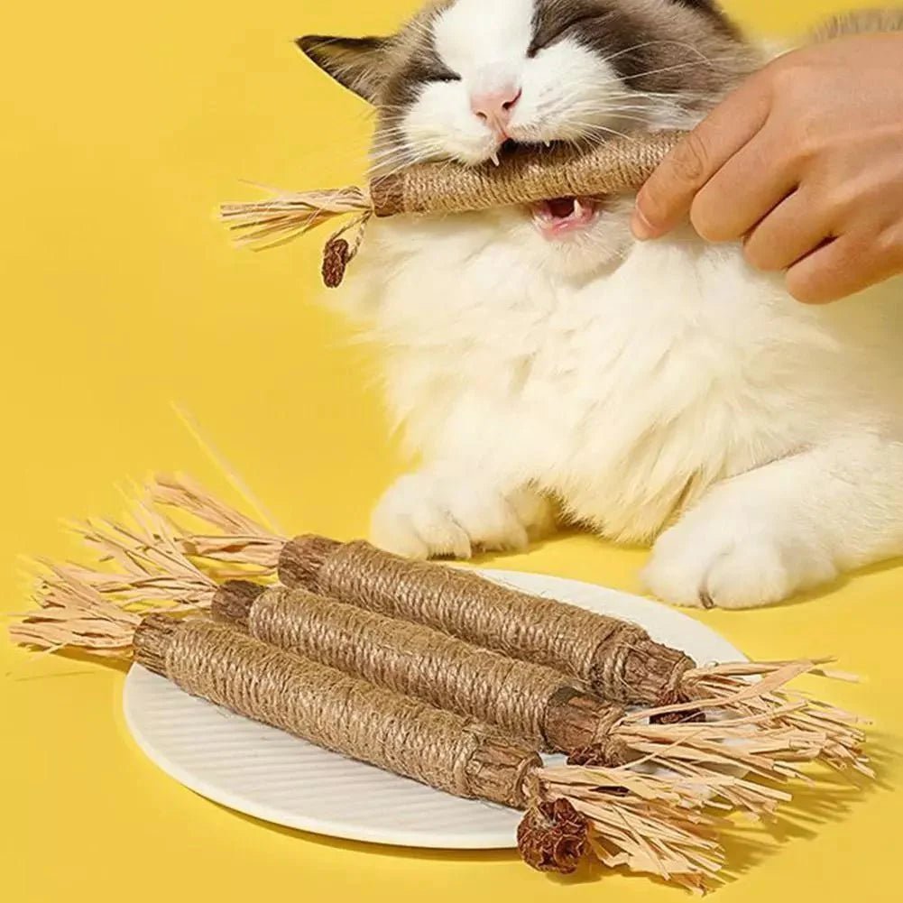 Bâton à mâcher pour chat - PurrStick™ - Chatadorable