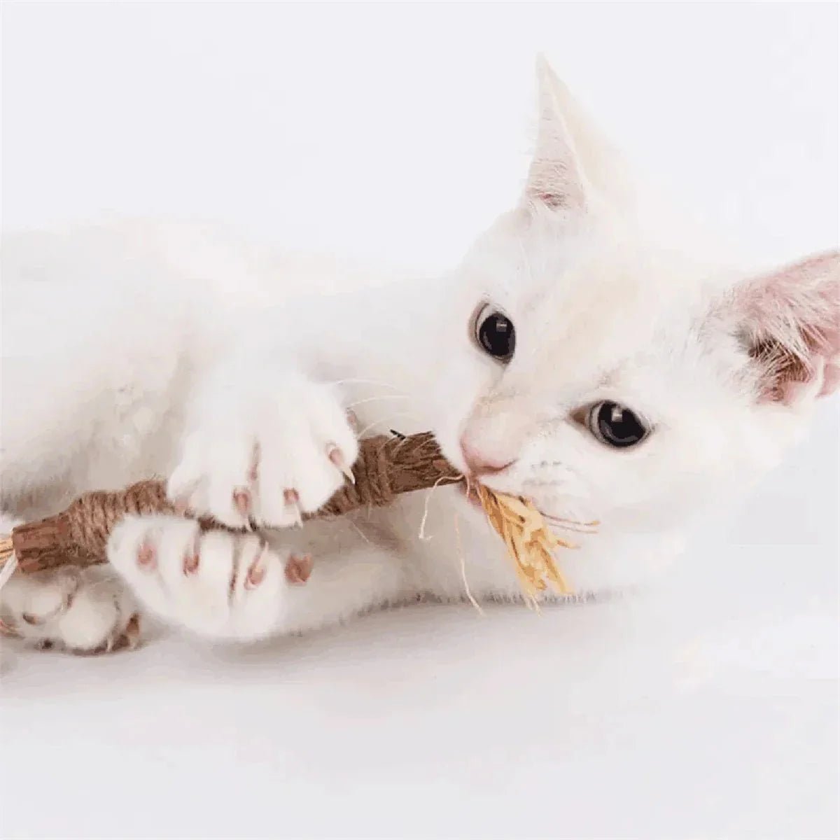 Bâton à mâcher pour chat - PurrStick™ - Chatadorable