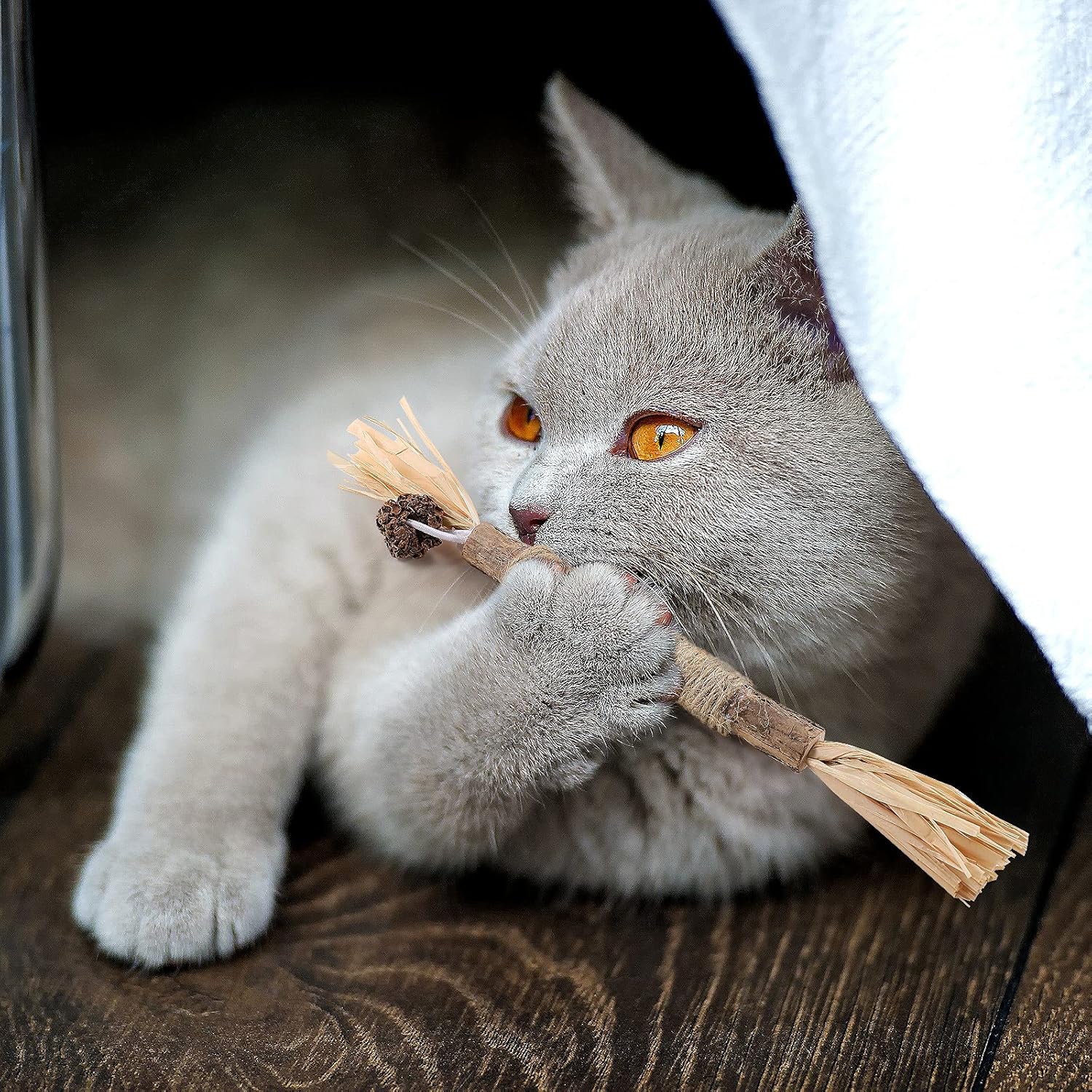 Bâton à mâcher pour chat - PurrStick™ - Chatadorable