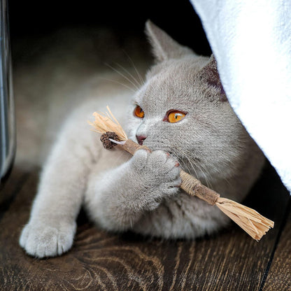 Bâton à mâcher pour chat - PurrStick™ - Chatadorable