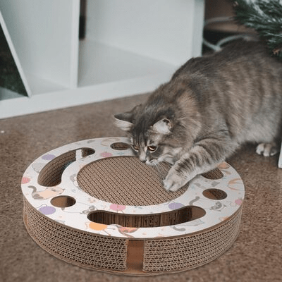 Grattoir Chat - PurrRoundScratcher™ - Chats & Balles - Chatadorable