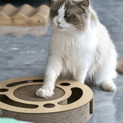 Grattoir Chat - PurrRoundScratcher™ - Minimaliste - Chatadorable