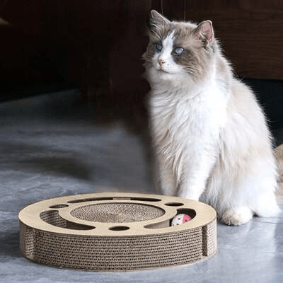 Grattoir Chat - PurrRoundScratcher™ - Minimaliste - Chatadorable