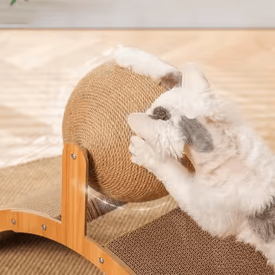 Griffoir pour Chat - Scratch&PlayCatBoard™ - Arc - Chatadorable