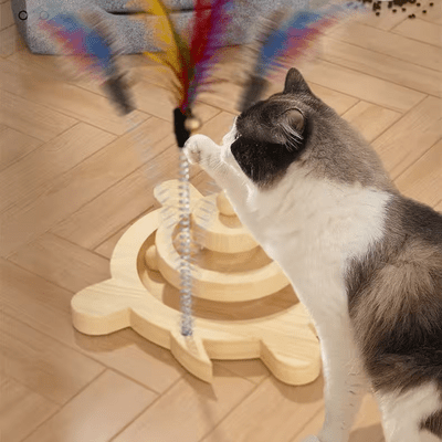 Jouet en Bois - SpinningCatToy™ - Grenouille - Chatadorable