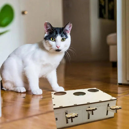 Jouet Interactif Chat - CatWhack™ - Chatadorable