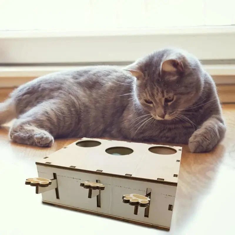 Jouet Interactif Chat - CatWhack™ - Chatadorable