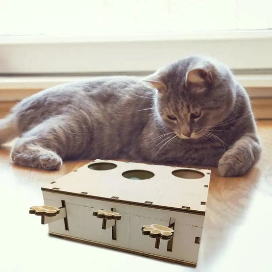 Jouet Interactif Chat - CatWhack™ - Chatadorable