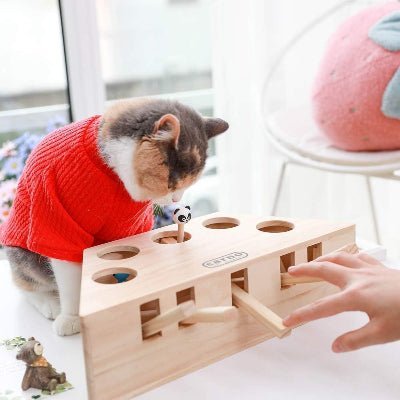 Jouet Interactif Chat - PawHunter™ - 5 Trous - Famille Royal Chat
