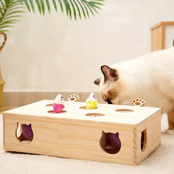 Jouet Interactif Chat - WoodMole™ - Chatadorable