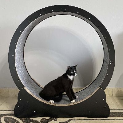 Roue Chat - KittyTread™ - Noir - Chatadorable